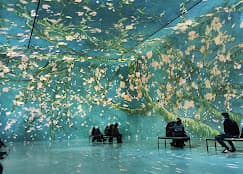 A New Dimension of Art